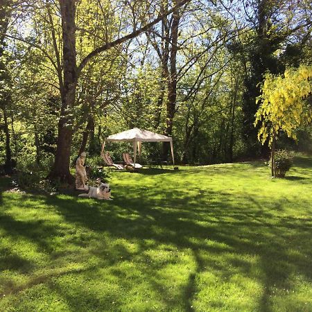 Montgaillard-de-SaliesDomaine Du Val De Soux住宿加早餐旅馆 外观 照片
